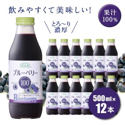 ブルーベリージュース（容器：瓶）の商品一覧 通販 - Yahoo!ショッピング