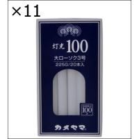 【11個セット】灯光100大3号225G | ジュヨー.com