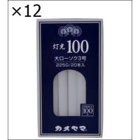 【12個セット】灯光100大3号225G | ジュヨー.com