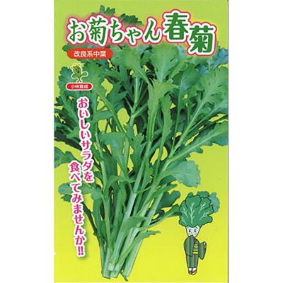 春菊の商品一覧 通販 - Yahoo!ショッピング