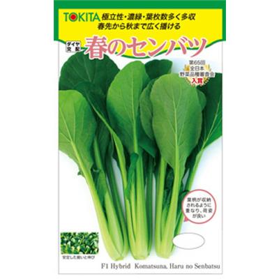 小松菜 種（花、ガーデニング）のおすすめ人気商品一覧 通販 - Yahoo