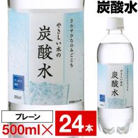 (ポイント2倍) 炭酸水 500ml 24本 ペットボトル LDC 国産 やさしい水の炭酸水 1箱 爆買 まとめ買い 炭酸