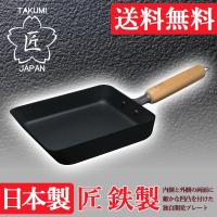 送料無料　日本製　匠 　鉄製　マグマプレート　玉子焼き　中　MGEG-M | キッチンダイレクト