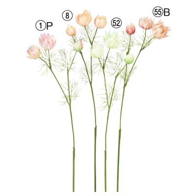 セルリア 花の商品一覧 通販 - Yahoo!ショッピング