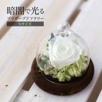 3000円で買える ゴージャス系ブリザーブドフラワーのおすすめランキング 1ページ ｇランキング