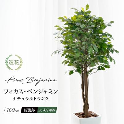ベンジャミン 商品一覧 - フェイクグリーンの神戸花物語 - 売れ筋通販
