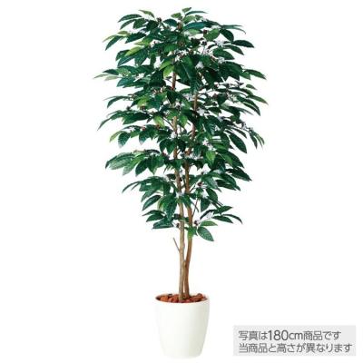 光触媒　人工観葉植物　ウォールグリーン　フェイクグリーン　コーヒーの木g@'t 光触媒 人工観葉植物 ウォールグリーン フェイクグリーン