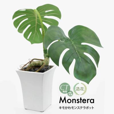 モンステラ 商品一覧 - フェイクグリーンの神戸花物語 - 売れ筋 モンステラ 商品一覧 - フェイクグリーンの神戸花物語 - 売れ筋