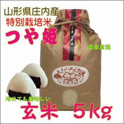 玄米 5kg（つや姫）の商品一覧 通販 - Yahoo!ショッピング