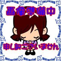 【P】ミヤナガ デルタゴンビットSDS-プラス ロングサイズ DLSDS14031 刃先径14.0mm 有効長250mm [MYN002597] | K-material-shop