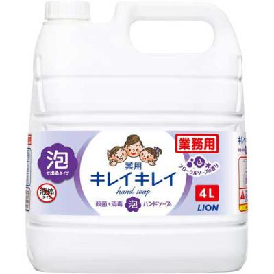 キレイキレイ 4l 3本のおすすめ人気商品一覧 通販 - Yahoo!ショッピング