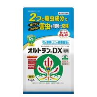 農薬 殺虫剤 園芸用 カイガラムシエアゾール 住友化学園芸 480ml 北越農事yahoo ショップ 通販 Yahoo ショッピング