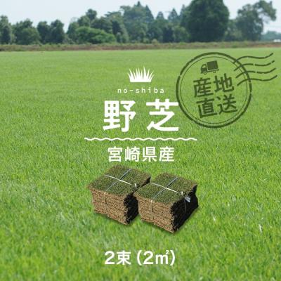 ガーデニング用芝、芝生｜苗｜花、ガーデニング おすすめ人気商品 通販