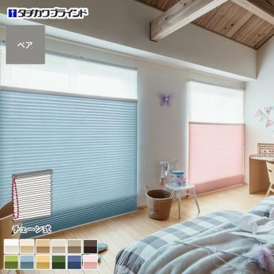 タチカワブラインド プリーツスクリーン（スタイル：ペアタイプ