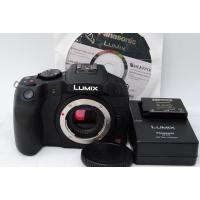 パナソニック ミラーレス一眼カメラ ルミックス G6 ボディ 1605万画素 ブラック DMC-G6-K | kagayaki-shops4