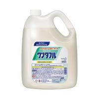 （まとめ） 花王 ワンダフル 4.5L 051752〔×10セット〕 | 家具プラザ