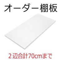 棚板 オーダー　ミリ単位でオーダーする棚板(幅と奥行きを足して 700ｍｍまで)  白色　ダボ4個セット
