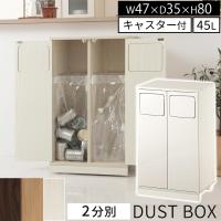 ゴミ箱 45リットル 45L ダストボックス 2分別 ごみ箱 スリム ハイ