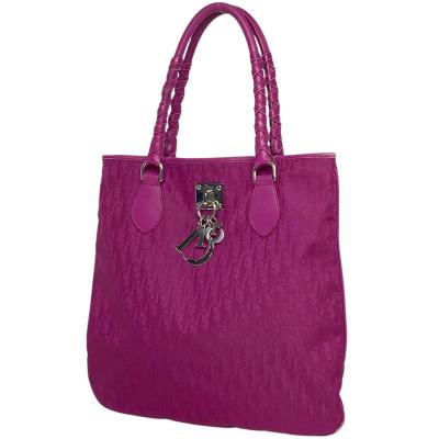 Dior トロッター バッグ(レディーストートバッグ)の商品一覧 Dior トロッター バッグ(レディーストートバッグ)の商品一覧
