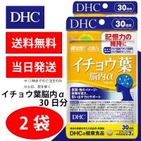 DHC イチョウ葉脳内α アルファ 30日分 2個 健康食品 美容 サプリ 送料無料 | 海心商事