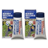 住友化学園芸 トップジンM ペースト 100g×2本 農薬 | 快適クラブ.ｎｅｔ