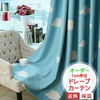 カーテン オーダーカーテン アンパンマン カーテン 東リ エルーア ksa60063 ksa60064 生地のみ販売 elr kiji ksa60063 カーテン ブラインドのコンポ 通販 yahoo ショッピング