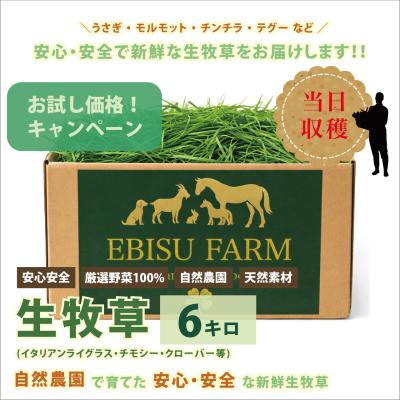 たっちゃん農園のおすすめ人気商品一覧 通販 - Yahoo!ショッピング