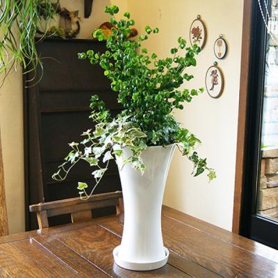 ベンジャミンバロックのおすすめ人気商品一覧 通販 - Yahoo!ショッピング