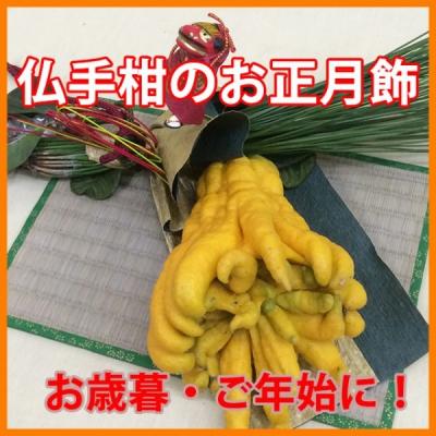 仏手柑のおすすめ人気商品一覧 通販 - Yahoo!ショッピング