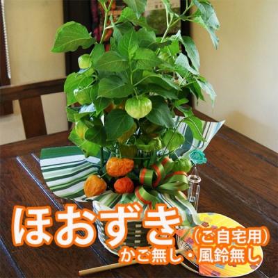 ほうずきのおすすめ人気商品一覧 通販 - Yahoo!ショッピング
