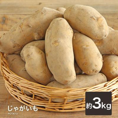 マミー！俵マゼランじゃがいも10㎏+訳ありじゃがいも(ニシユタカ)10㎏ 訳あり俵マゼランじゃがいも大10㎏の通販 by ゆきんこ's shop