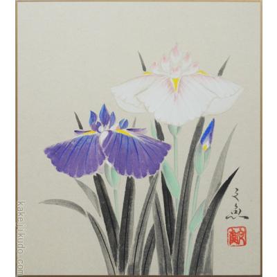 色紙 絵 中谷文魚（絵画）｜美術、工芸品 | 楽器、手芸、コレクション