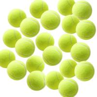 Swity Home Tennis Balls 12 Pack Tennis Training Balls for Adults Kids Lessons Practice or Playing with Pet (Regular Colo | かめよしエクスプレス
