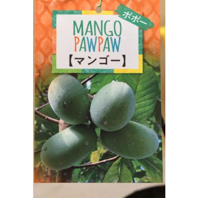 マンゴー 苗のおすすめ人気商品一覧 通販 - Yahoo!ショッピング