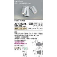 コイズミ照明　AU43322L　LED防雨型スポット Σ | 住設建材カナモンジャー