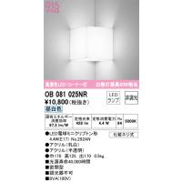 オーデリック　OB081025NR　ランプ別梱包 Σ | 住設建材カナモンジャー