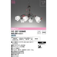 オーデリック　OC257028NR　ランプ別梱包 Σ | 住設建材カナモンジャー