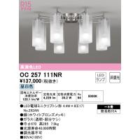 オーデリック　OC257111NR　ランプ別梱包 Σ | 住設建材カナモンジャー