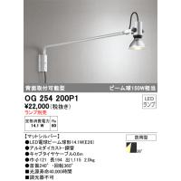 オーデリック　OG254200P1　LEDスポットライト ランプ別売 Σ | 住設建材カナモンジャー