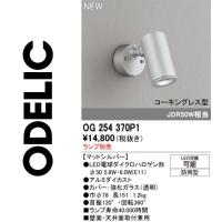オーデリック　OG254370P1　LEDスポット ランプ別売　Σ | 住設建材カナモンジャー
