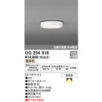 オーデリック　OG254516　LEDポーチライト Σ[X] | 住設建材カナモンジャー