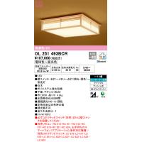 オーデリック　OL251493BCR　LEDシーリングライト Σ | 住設建材カナモンジャー