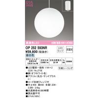 オーデリック　OP252593NR　ランプ別梱包 Σ | 住設建材カナモンジャー
