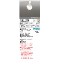 オーデリック　OS256571RG　ランプ別梱包 Σ | 住設建材カナモンジャー