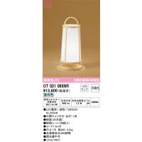 オーデリック　OT021065NR　ランプ別梱包 Σ | 住設建材カナモンジャー