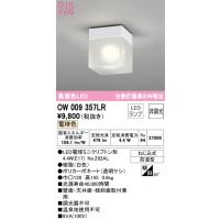 オーデリック　OW009357LR　ランプ別梱包 Σ | 住設建材カナモンジャー