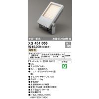 オーデリック　XG454055　LED投光器 Σ | 住設建材カナモンジャー