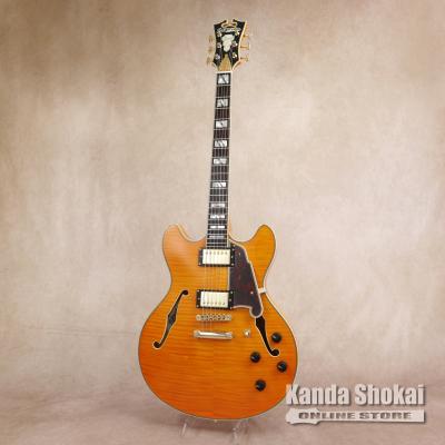 セミアコギター（色：オレンジ系）のおすすめ人気商品一覧 通販