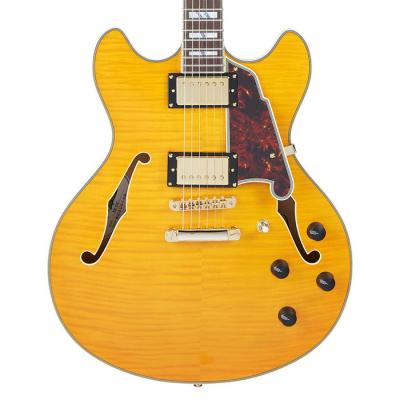 セミアコギター（色：オレンジ系）のおすすめ人気商品一覧 通販