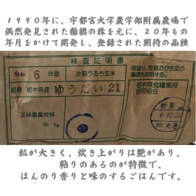 ゆうだい21の商品一覧 通販 - Yahoo!ショッピング ゆうだい21の商品一覧 通販 - Yahoo!ショッピング